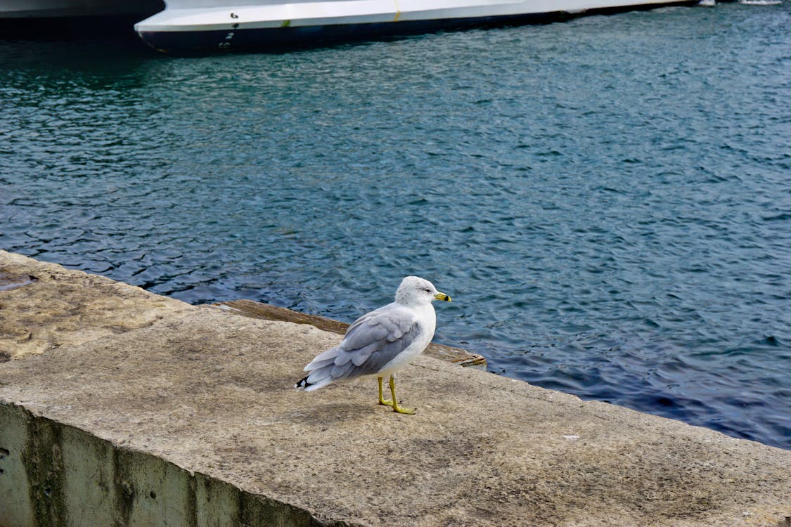 İncek doğa yuruyusu spor orman parkur