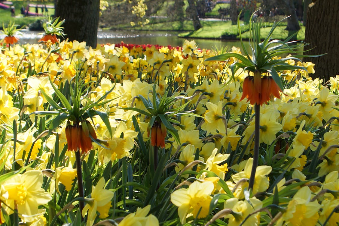 İncek villa güvenlik kamera sistemi