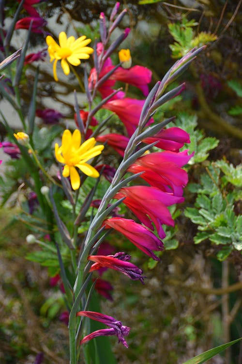 İncek villa salon dekorasyon ic mekan